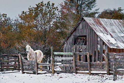 Rustic Horse Shed_06694.jpg - Photographed near Kilmarnock, Ontario, Canada.